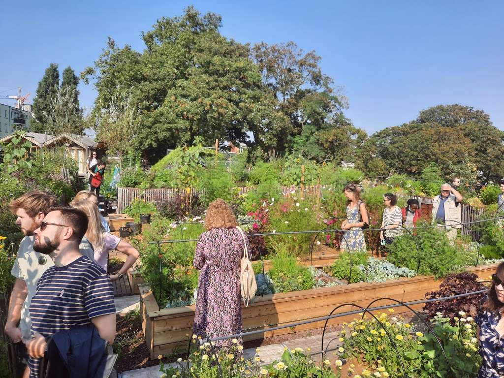 Stedelijke voedselproductie op dak