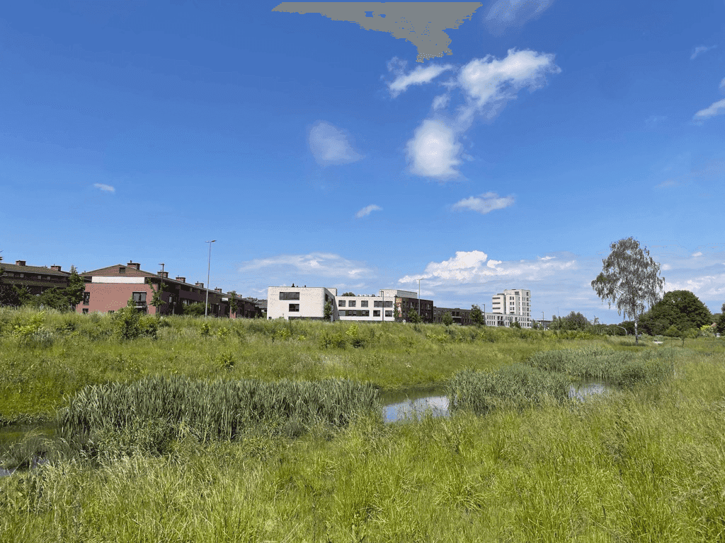 Herstel van natuurlijk habitat