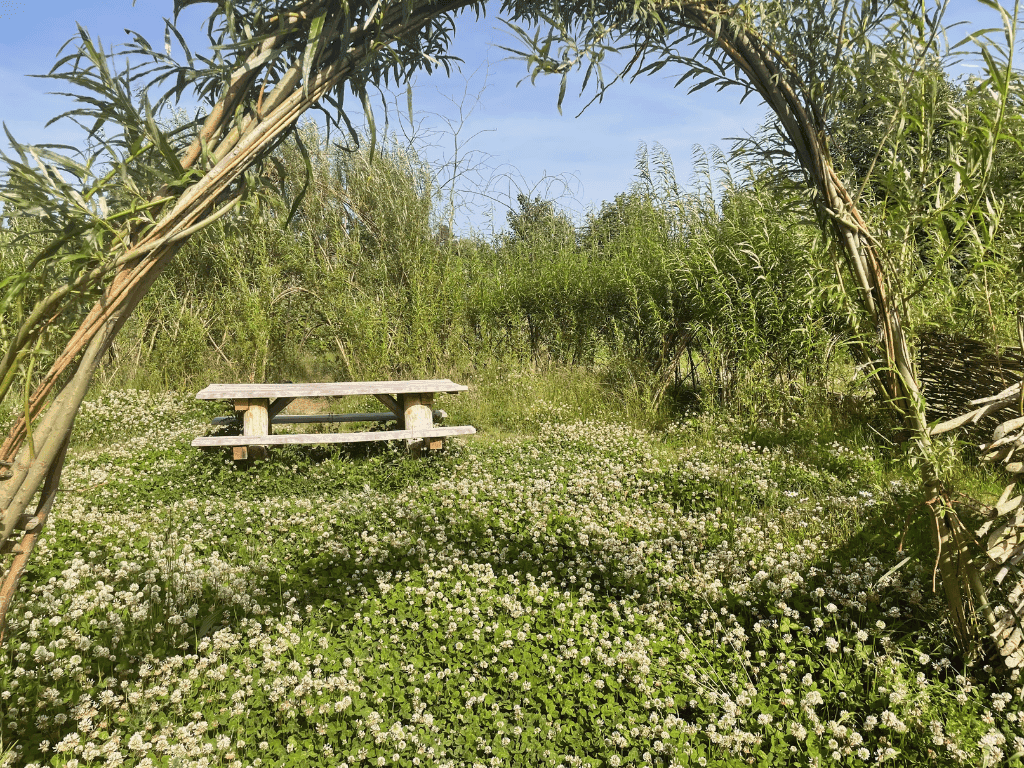 Herstel van natuurlijk habitat