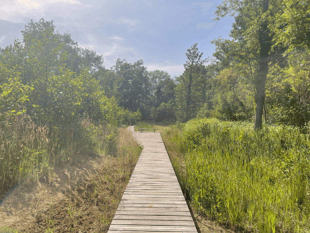 Herstel van natuurlijk habitat