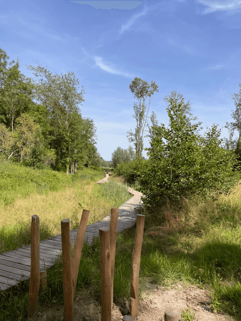 Gemeenschapsactiviteit in natuurgebied
