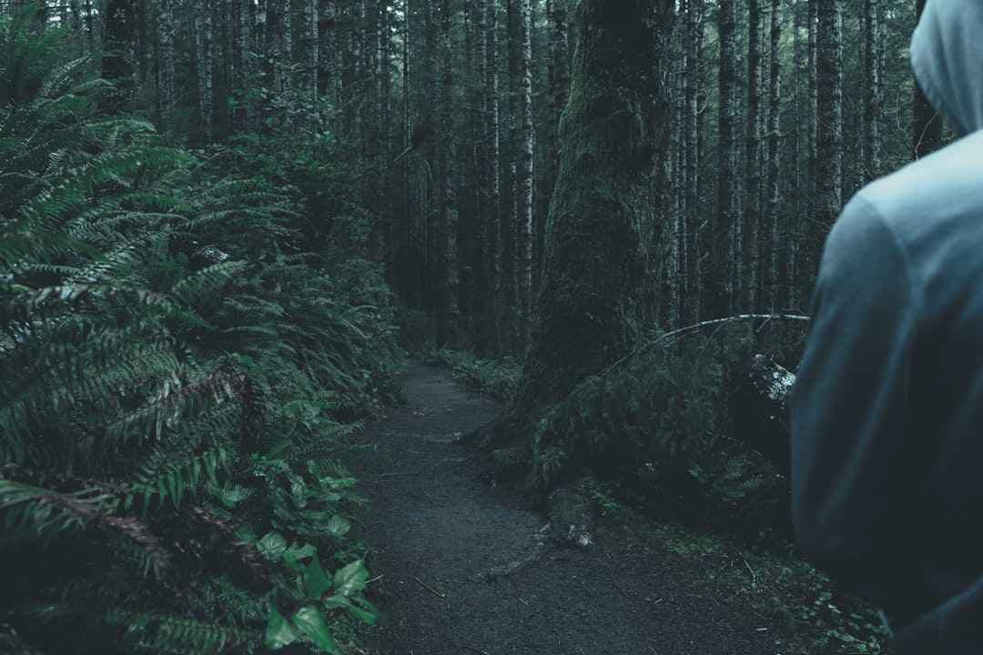 Duurzame teambuilding: wat het écht betekent en waarom het werkt