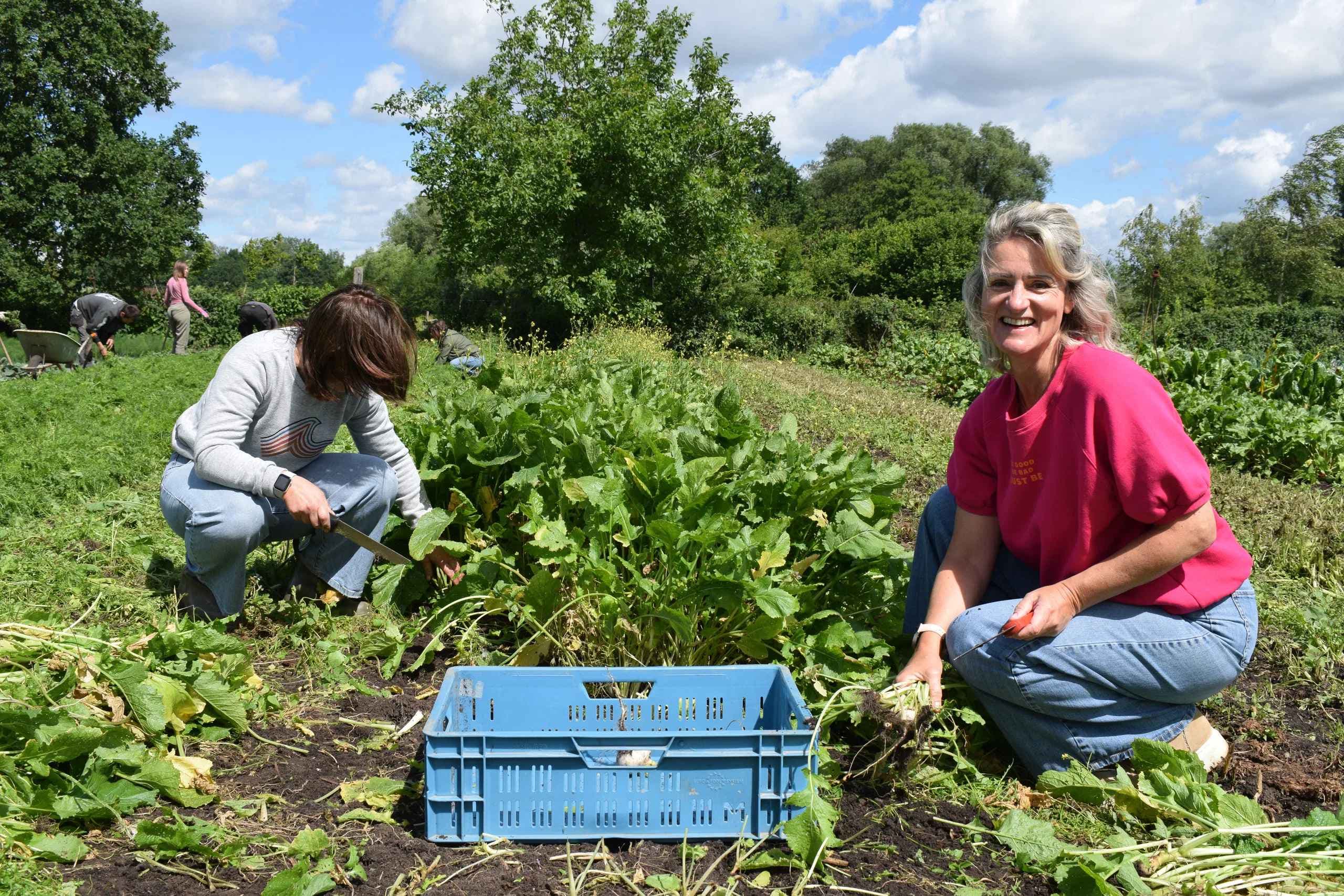 Employee volunteering programma: zo bouw je iets dat echt werkt