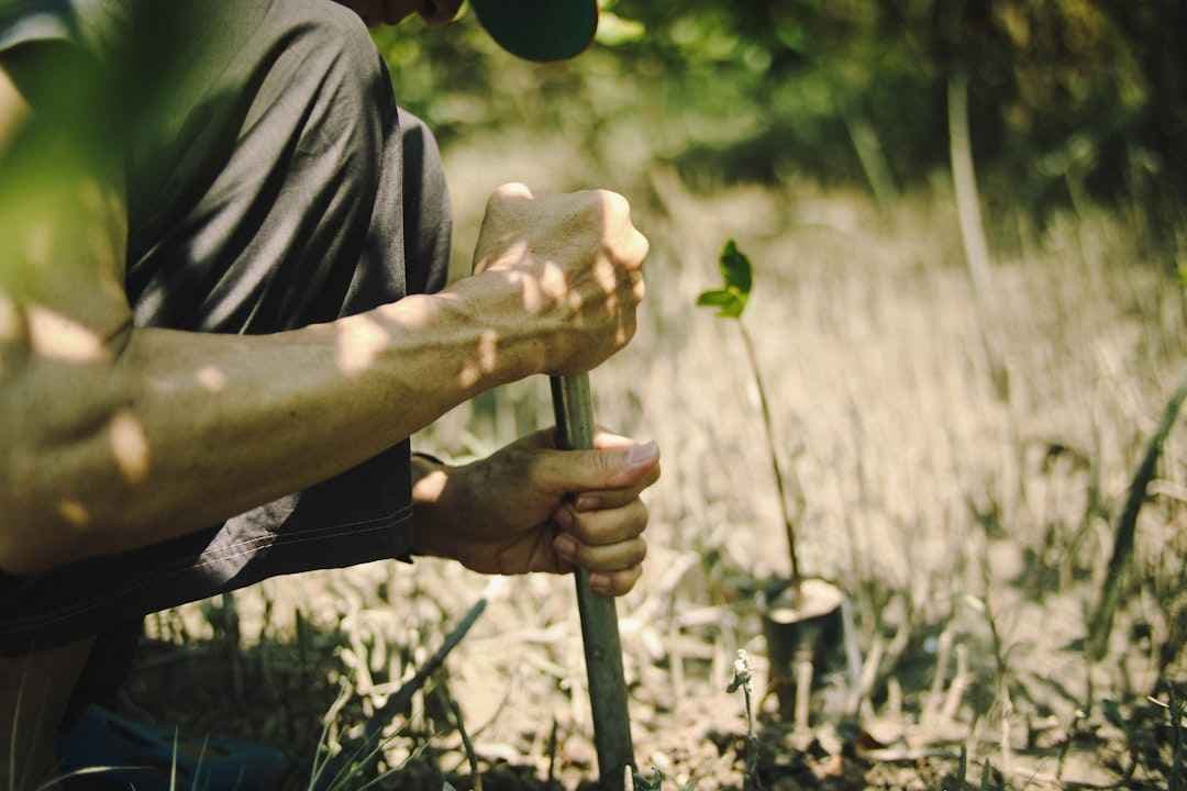 Teambuilding bedrijf in de natuur: alternatief voor de klassieke teamdag