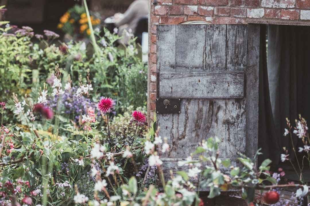 Wat is natuuropwaardering en hoe pakt uw bedrijf het aan?