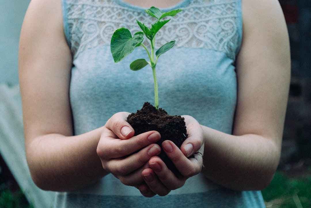 CSR-activiteiten voor bedrijven: verder dan een eenmalige actie