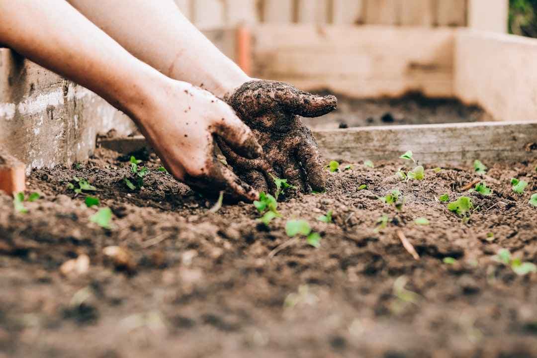 Wat zijn CSR-activiteiten voor bedrijven? Voorbeelden voorbij de fun day