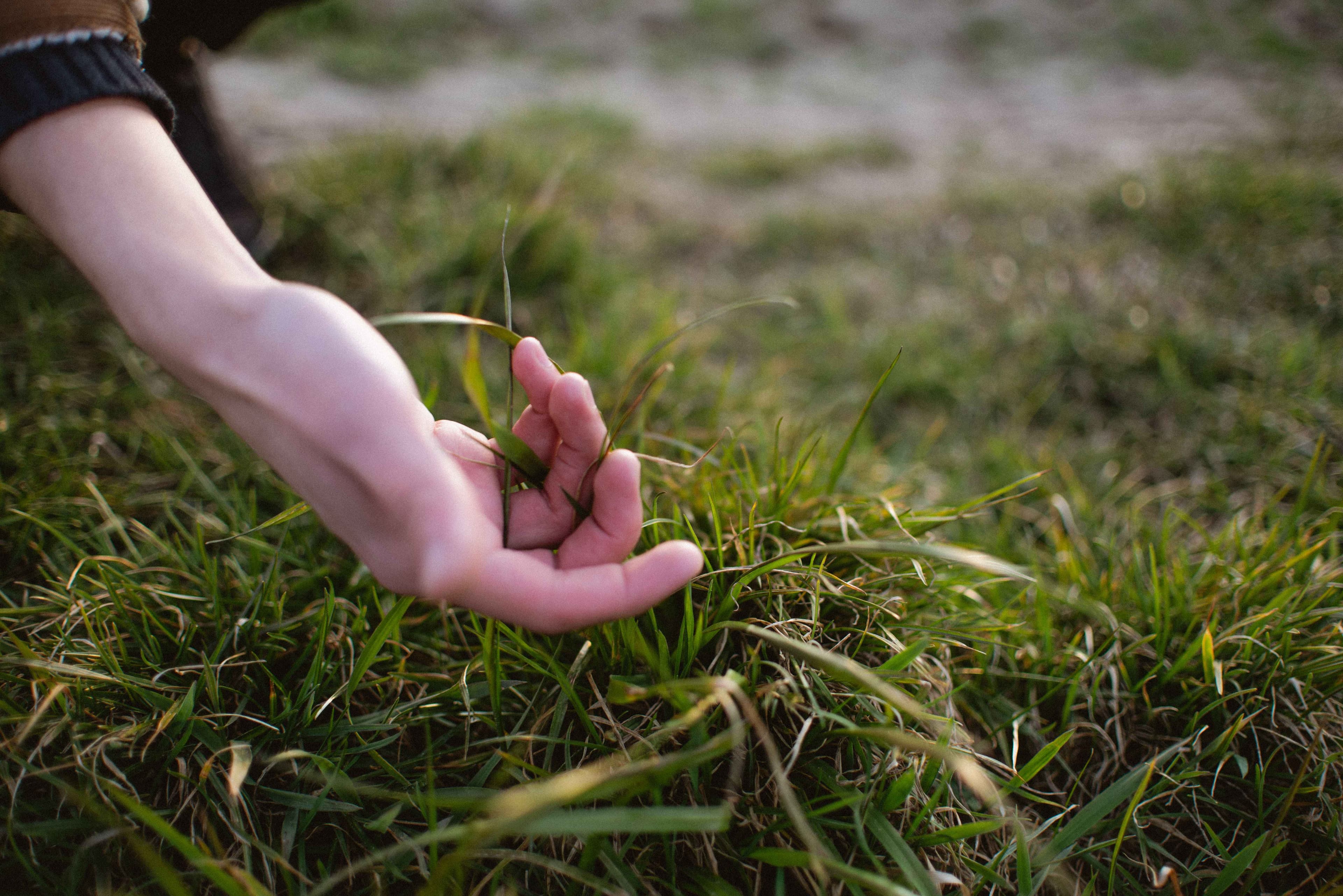 Touch grass Anna Roguszczak