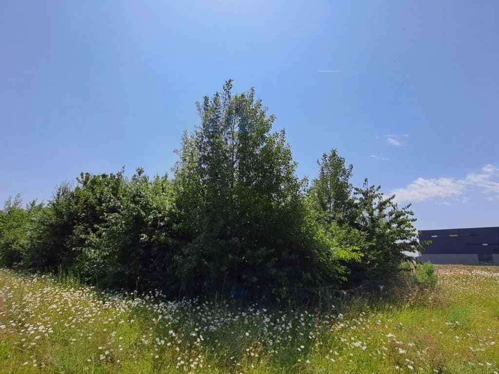Kantoorbos als ontmoetingsplaats