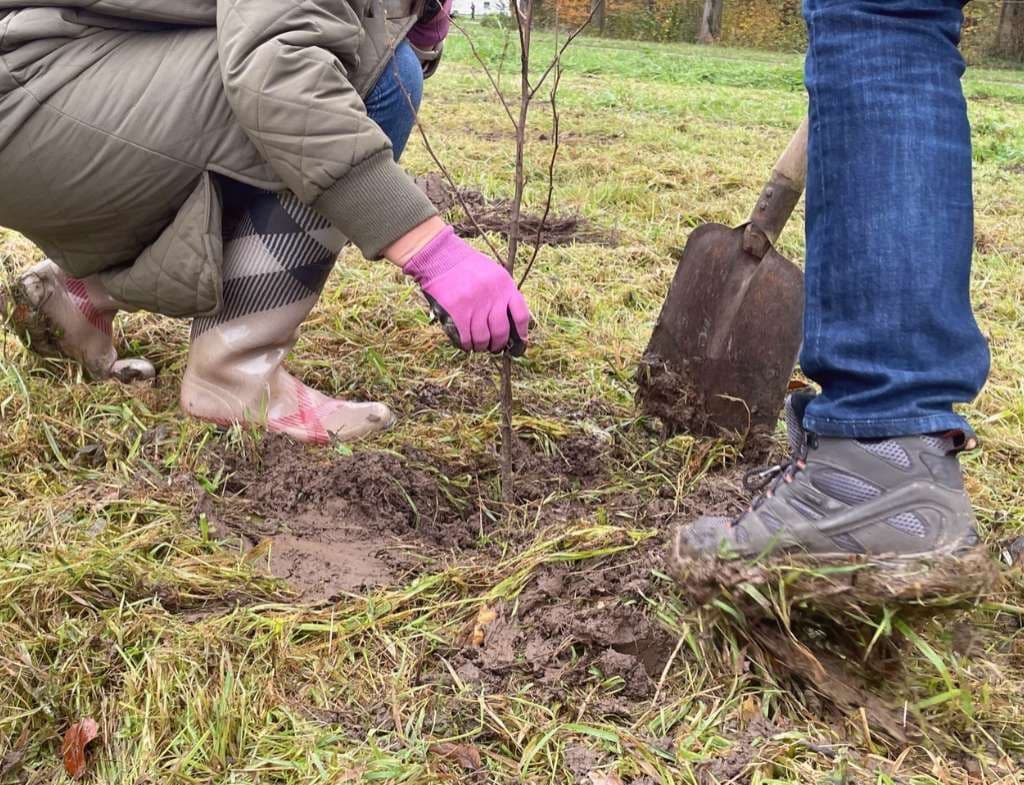 Mensen planten samen een boom