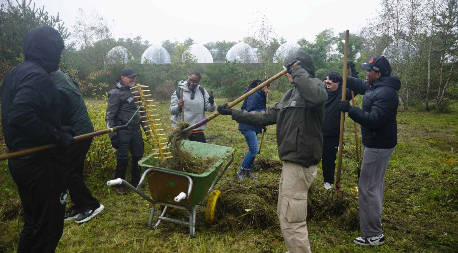 natuur Buy Way