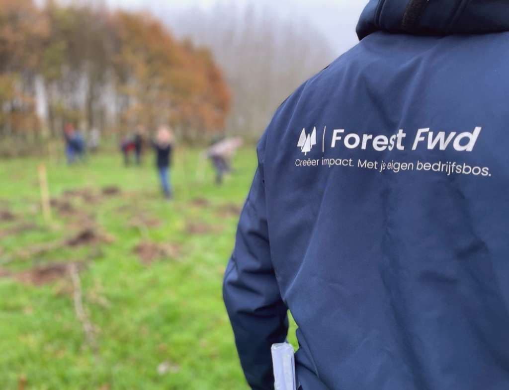 Forest Forward plant bomen