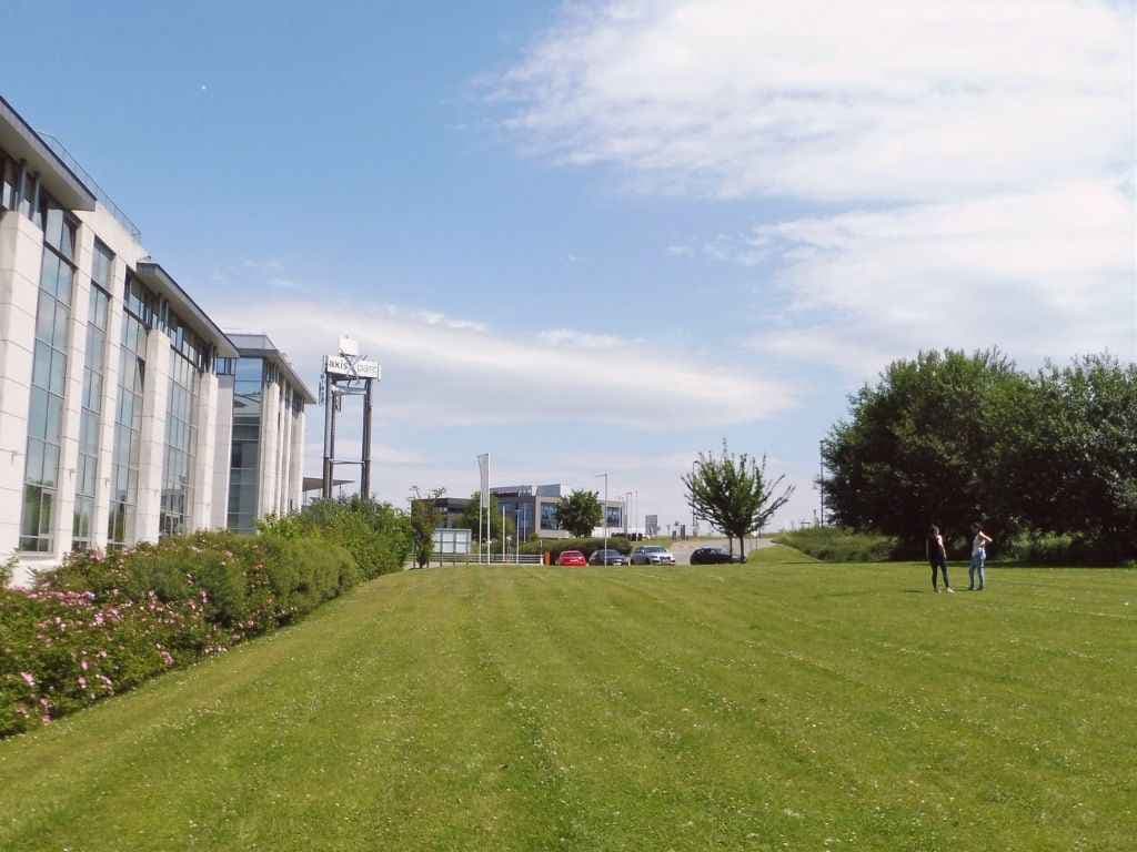 Kantoorbos als ontmoetingsplaats