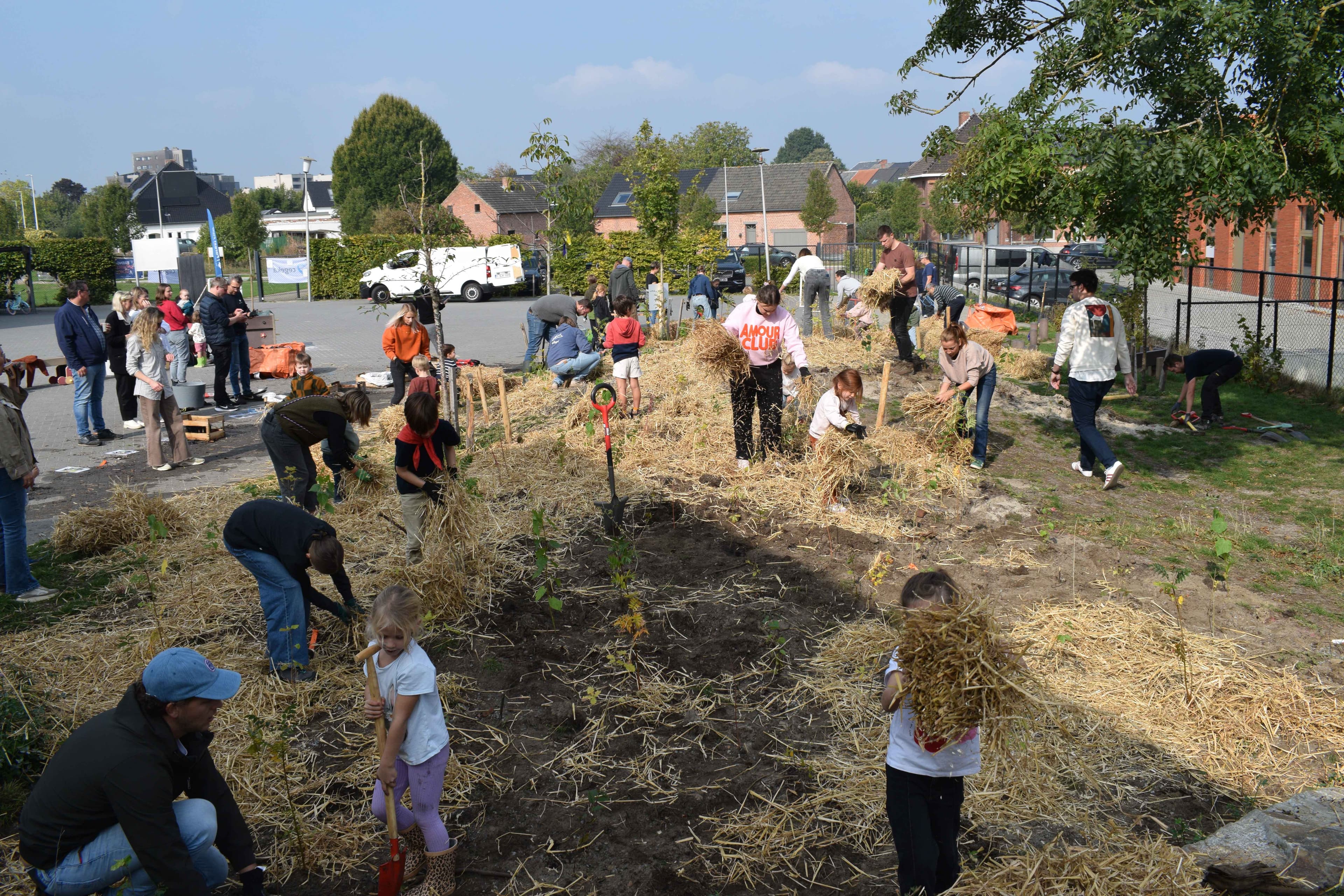 Cegeka aanplant schoolbos in De Krullevaar