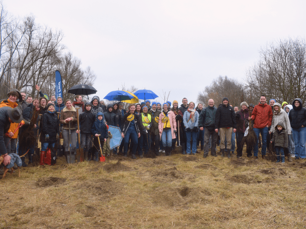 Collectieve aanplant The Loop