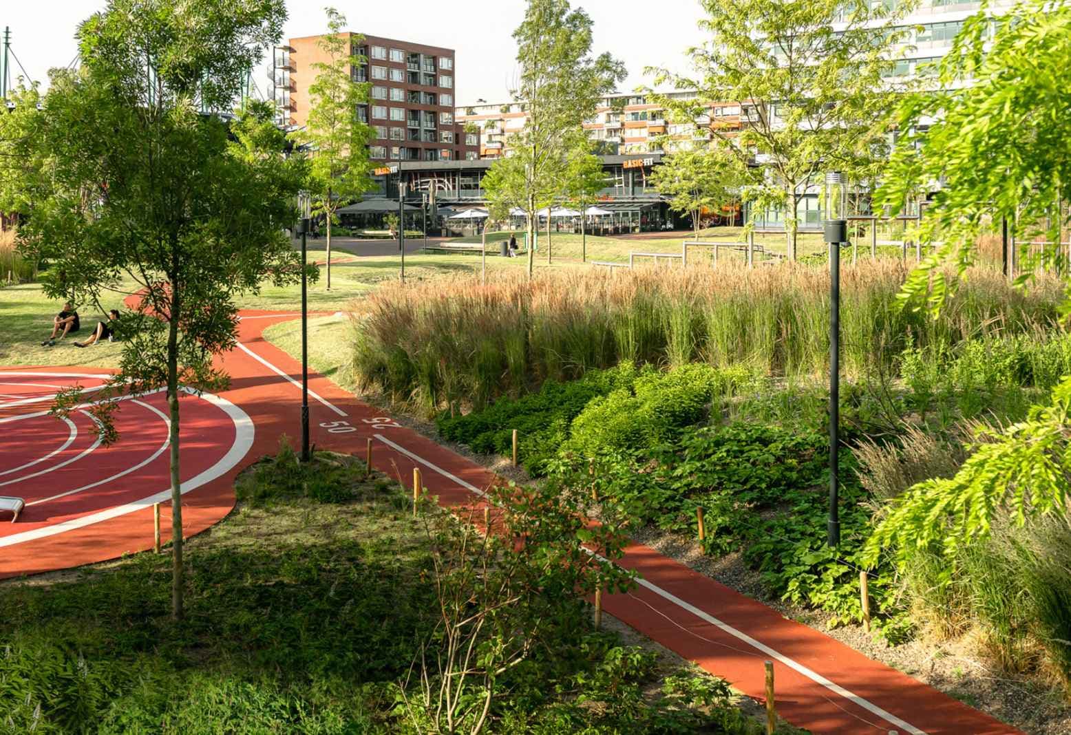 Natuur in de stad copyright Delva