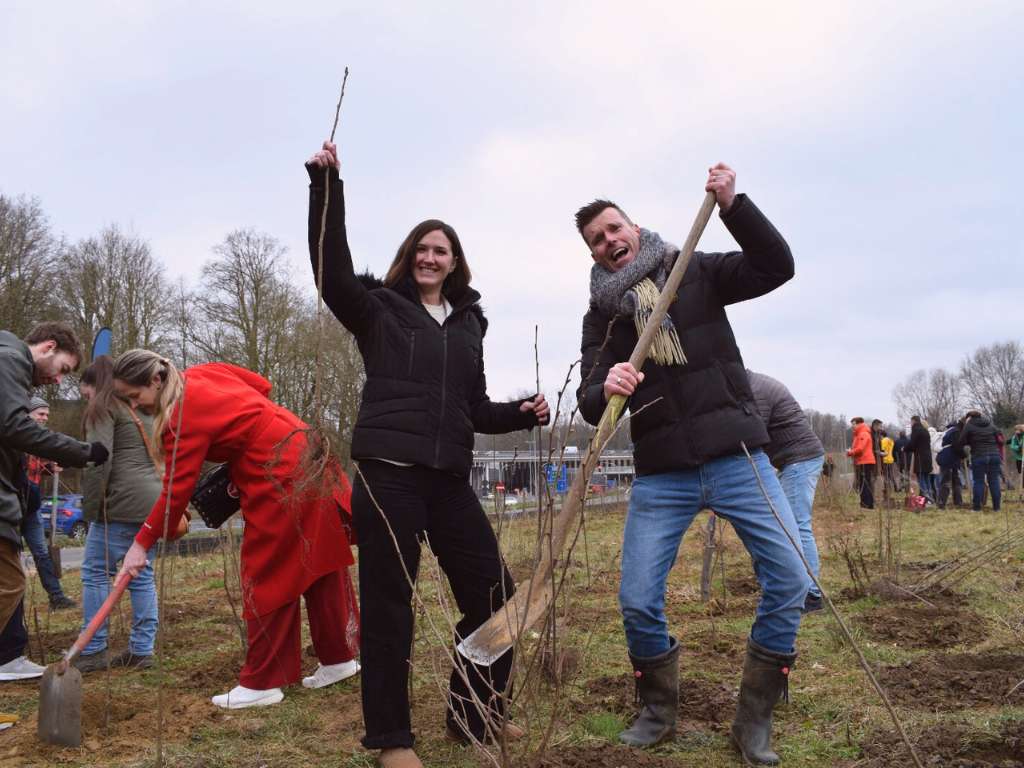 Groeiend bedrijfsbos in stedelijke omgeving