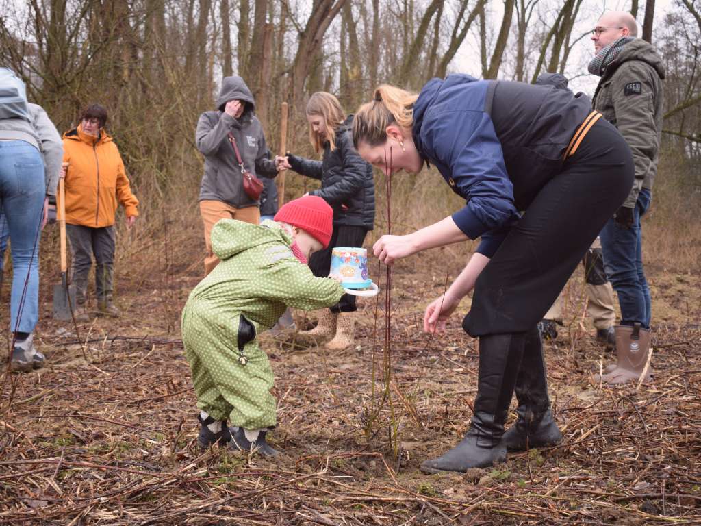 Biodiversiteit in het bedrijfsbos