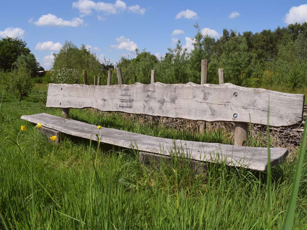 Bedrijfsbos als ontmoetingsplaats