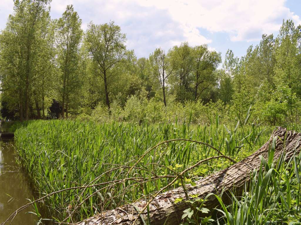 Contacteer ons achtergrond Forest Forward