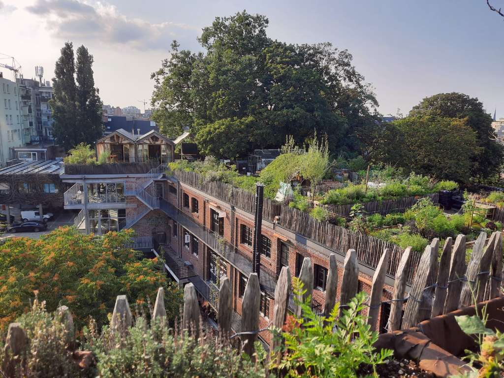 Dakboerderij met diverse gewassen