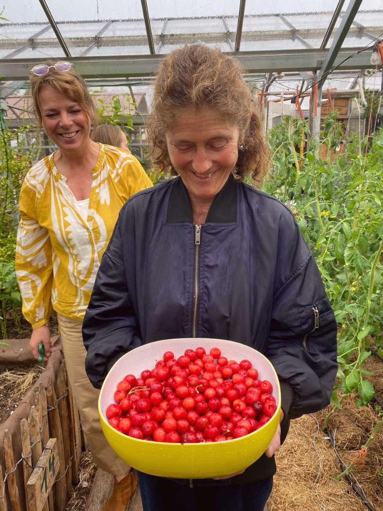 Dakboerderij met diverse gewassen