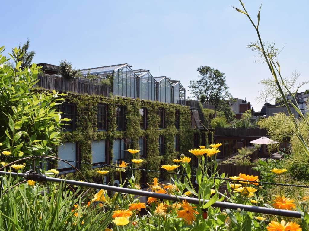 Dakboerderij header background
