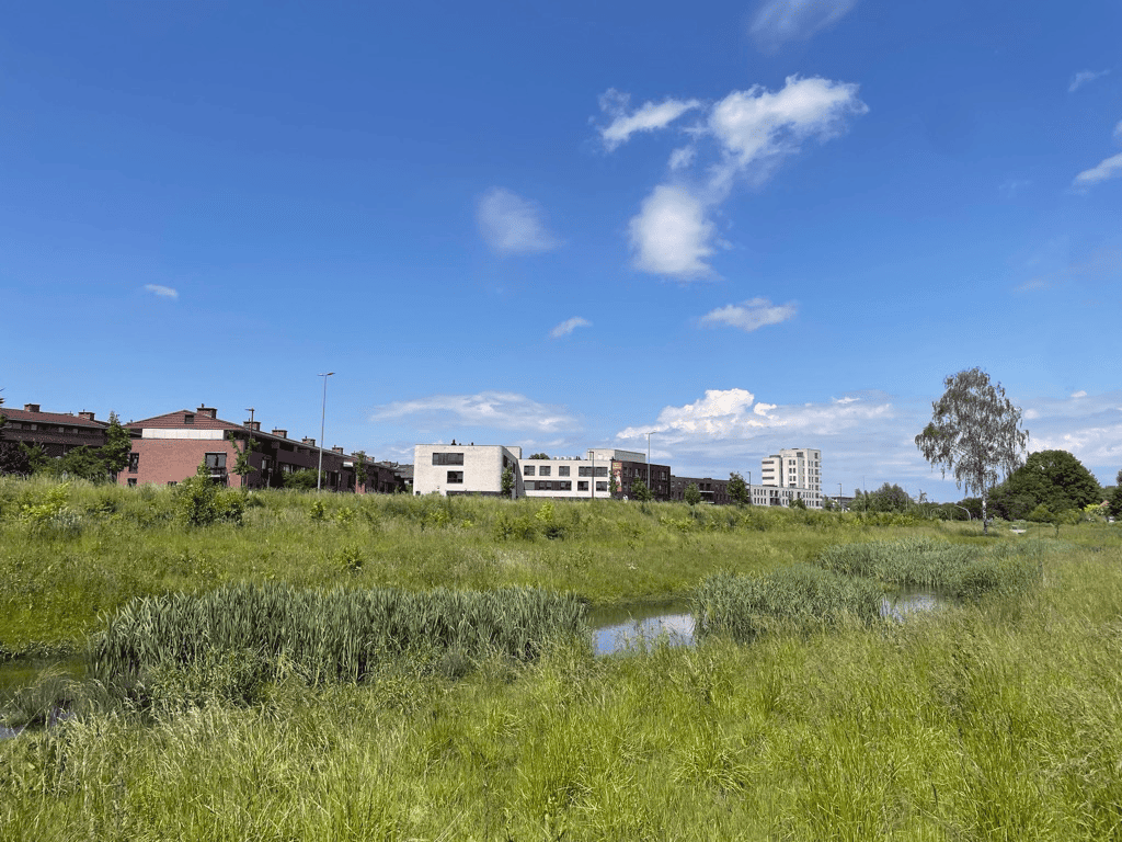 Herstel van natuurlijk habitat