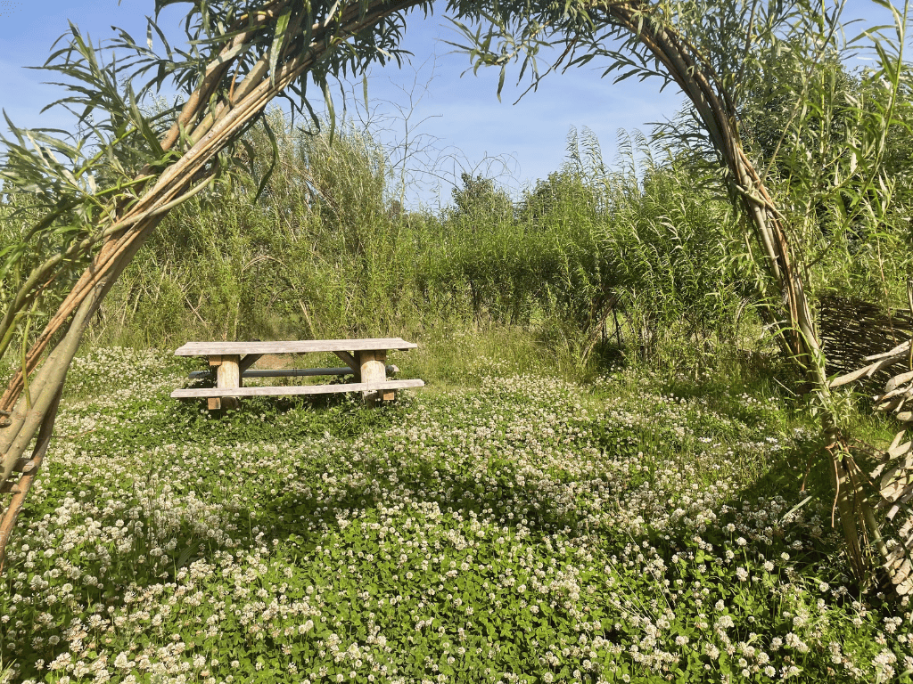 Herstel van natuurlijk habitat