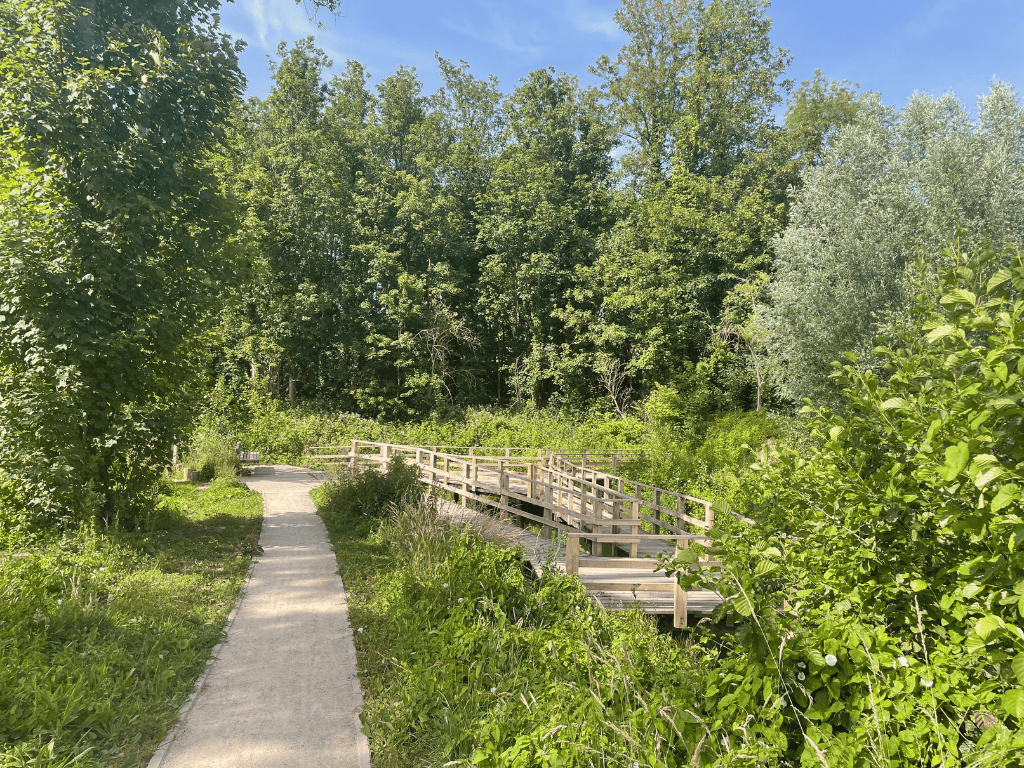 Herstel van natuurlijk habitat