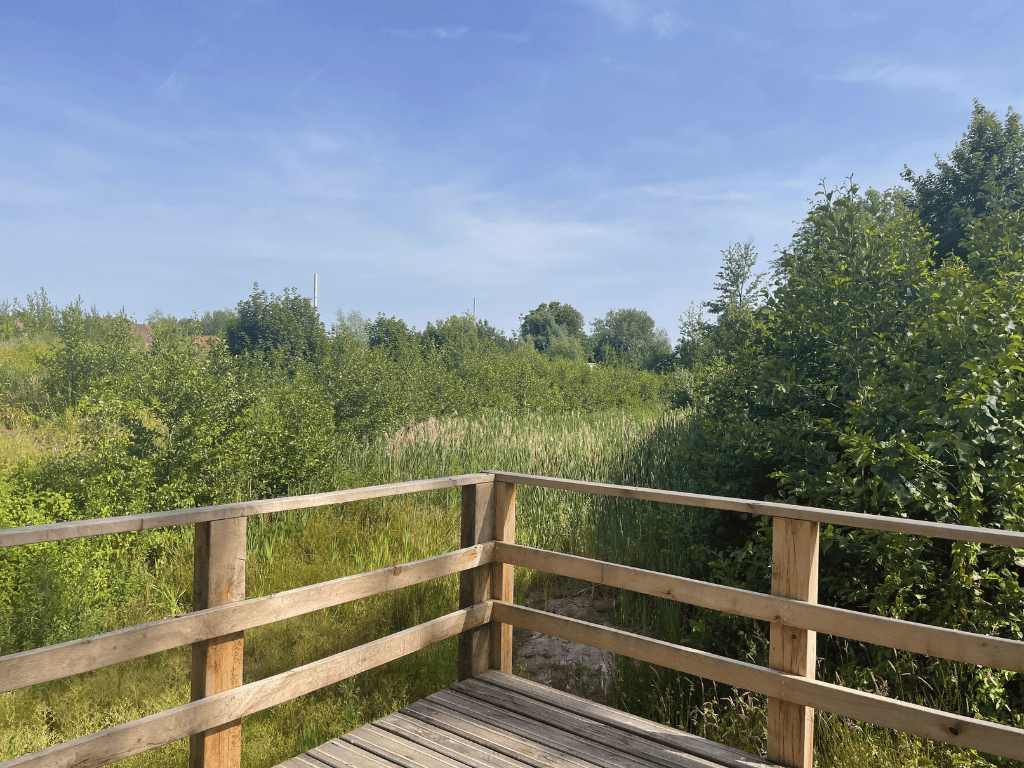 Herstel van natuurlijk habitat