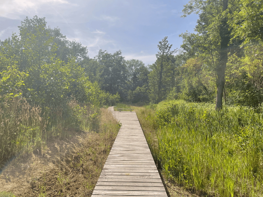 Herstel van natuurlijk habitat