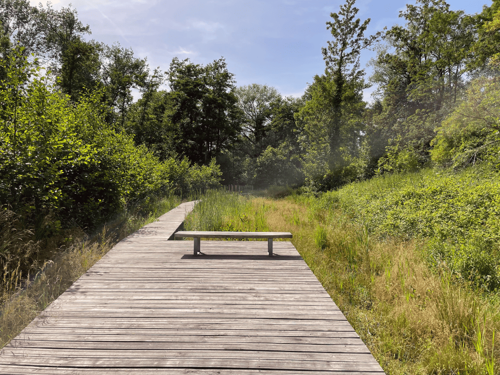 Herstel van natuurlijk habitat