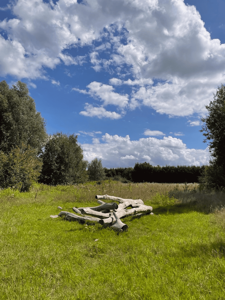 Biodiversiteit in opgewaardeerd gebied