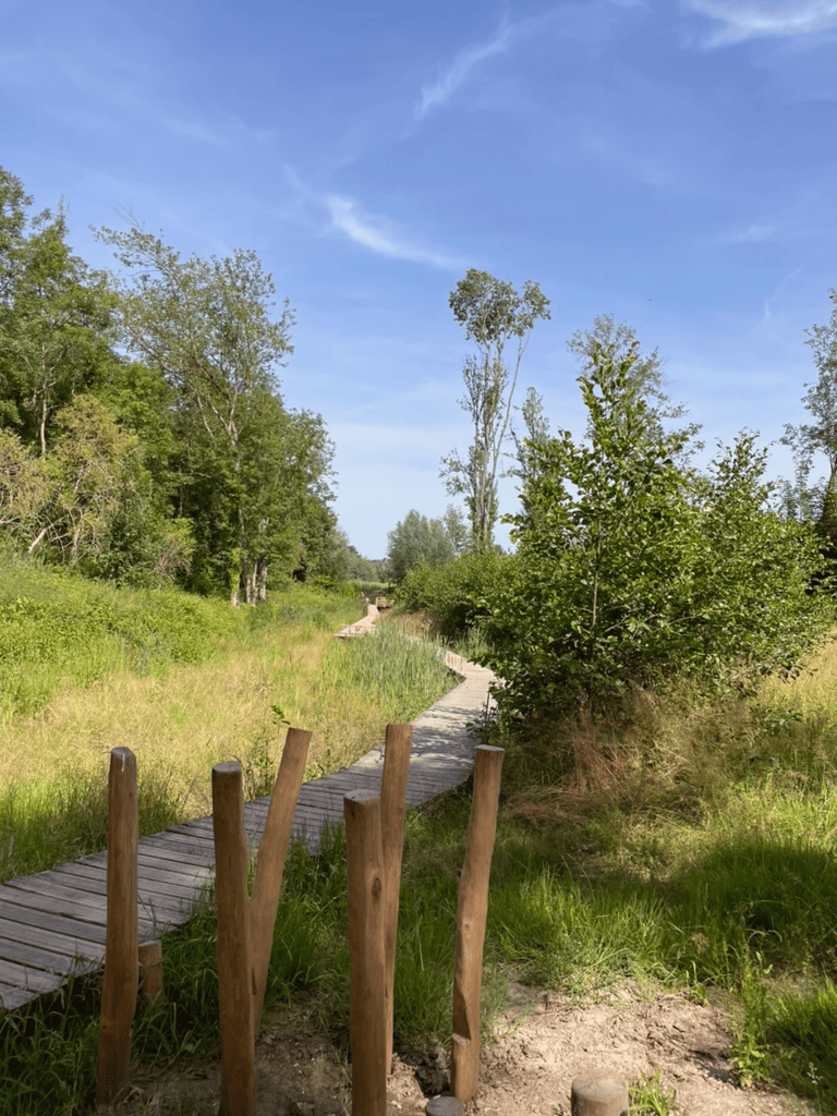 Gemeenschapsactiviteit in natuurgebied