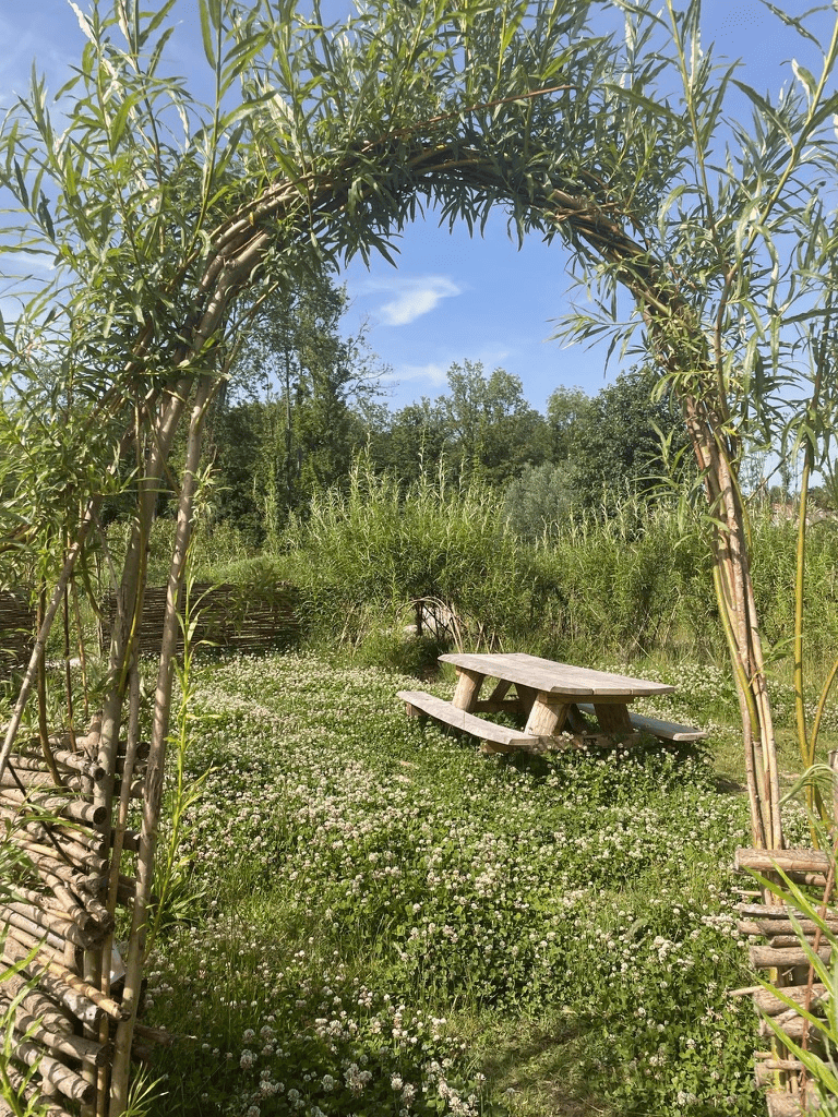 Herstel van natuurlijk habitat