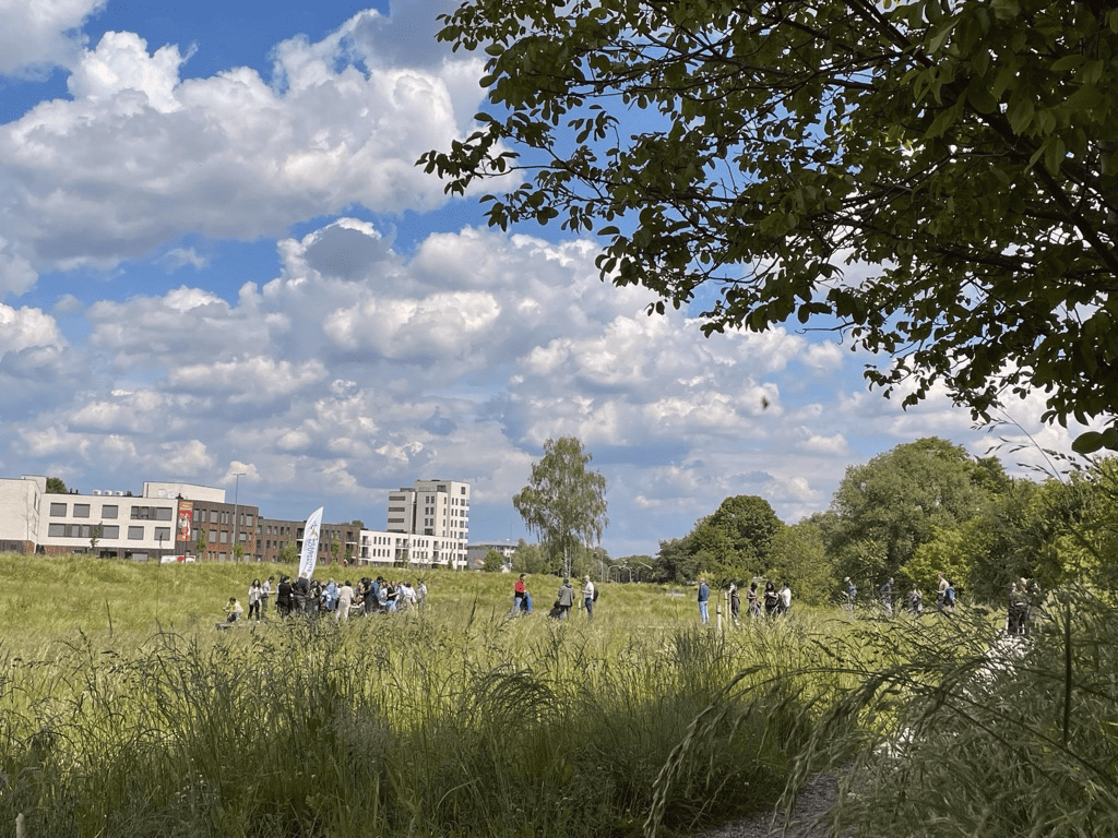 Herstel van natuurlijk habitat