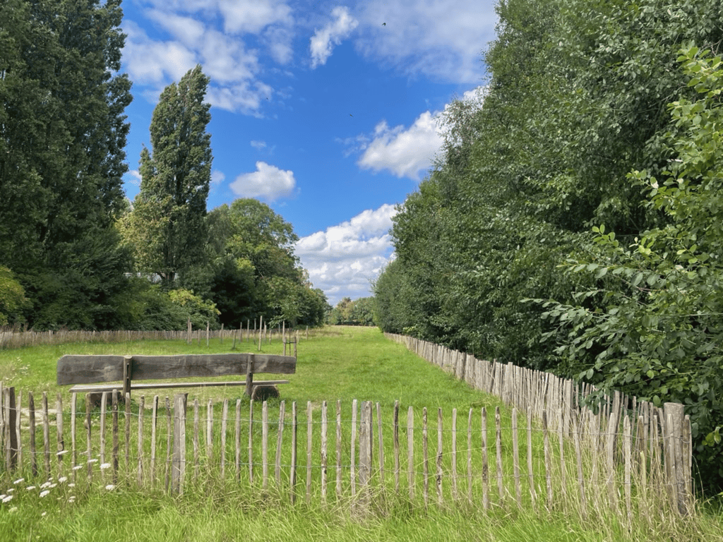 Herstel van natuurlijk habitat