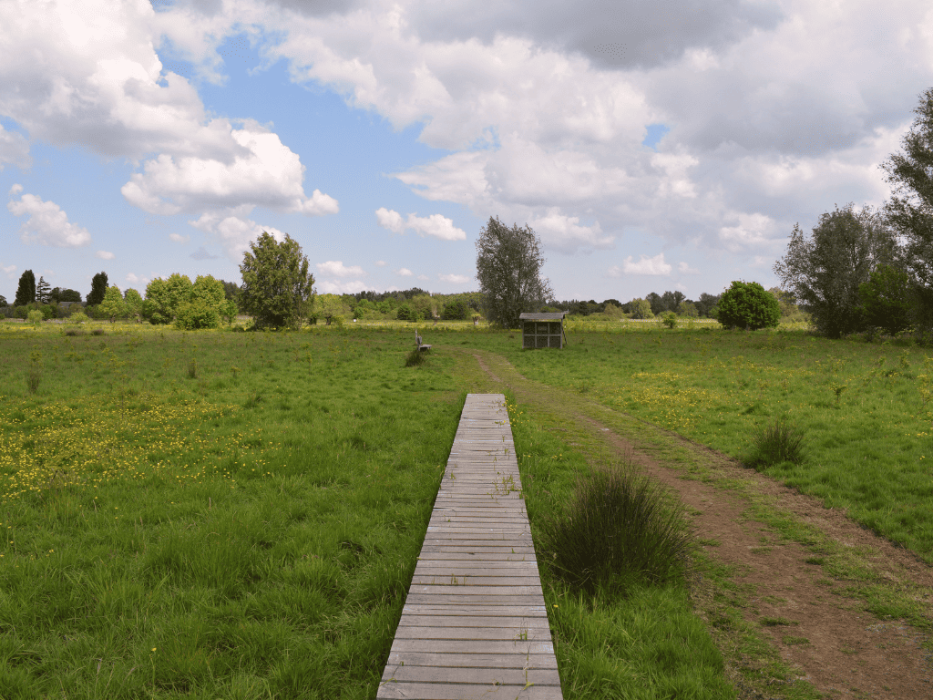 Ruim denken, lokaal handelen image