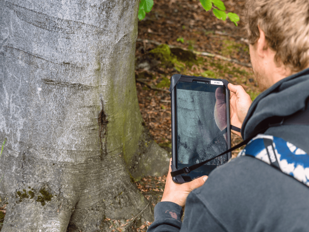 Duurzaam beheer & onderhoud image